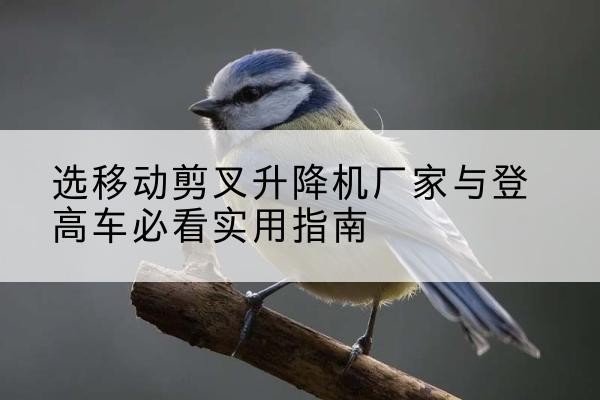 淳化电动升降机厂家-选移动剪叉升降机厂家与登高车必看实用指南