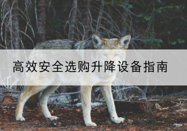 淳化升降货梯厂家推荐-*安全选购升降设备指南
