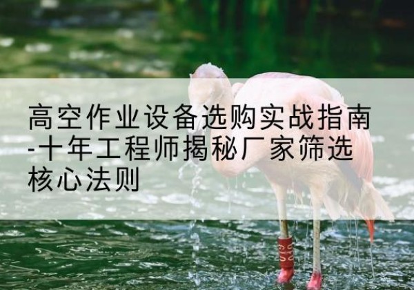 淳化剪叉式升降机厂家-高空作业设备选购实战指南-十年工程师揭秘厂家筛选核心法则
